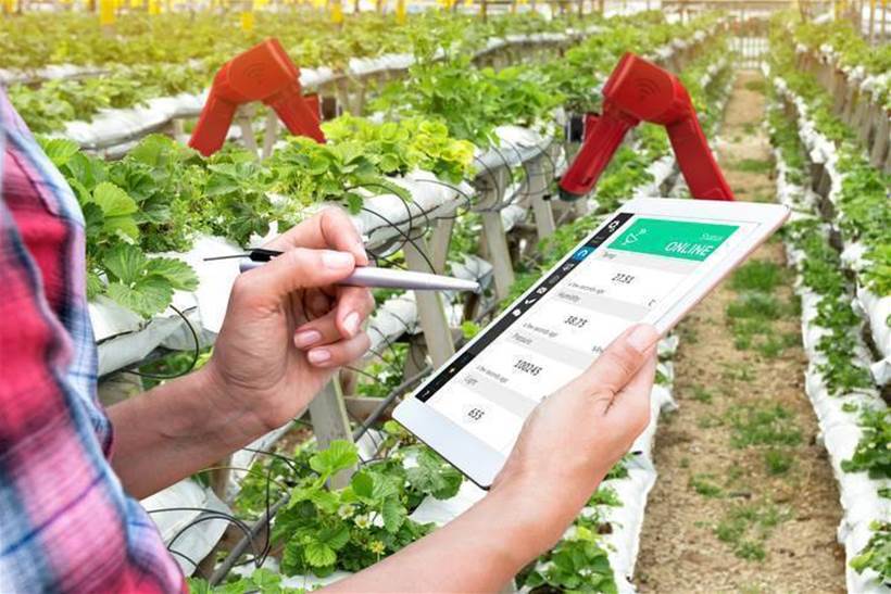 Victorian govt to pump another $15m into agtech