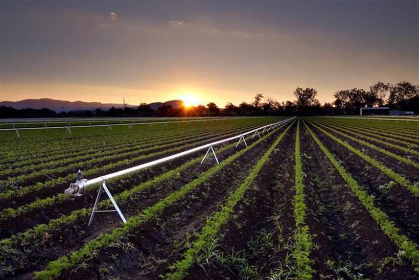 Victoria's Western Water used IoT to monitor irrigators