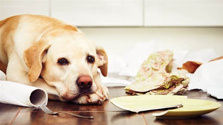 Patch Wednesday fixes two-year-old Dogwalk vulnerability