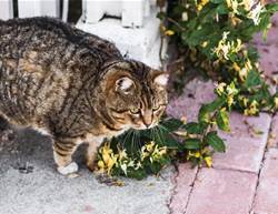 Yes, Size Does Matter