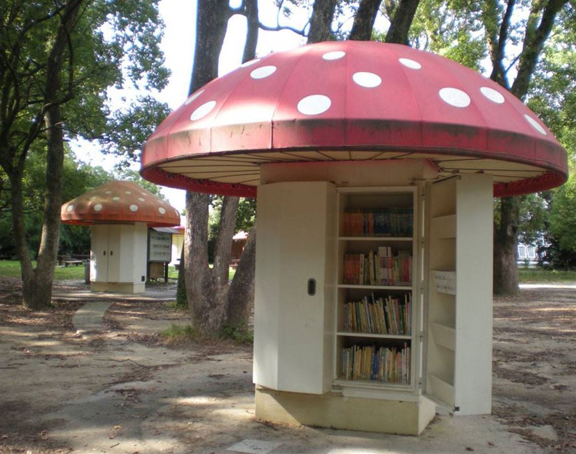 the mushroom library the mushroom library