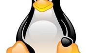 Linux systemd bug allows denial of service attacks