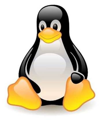 Linux systemd bug allows denial of service attacks