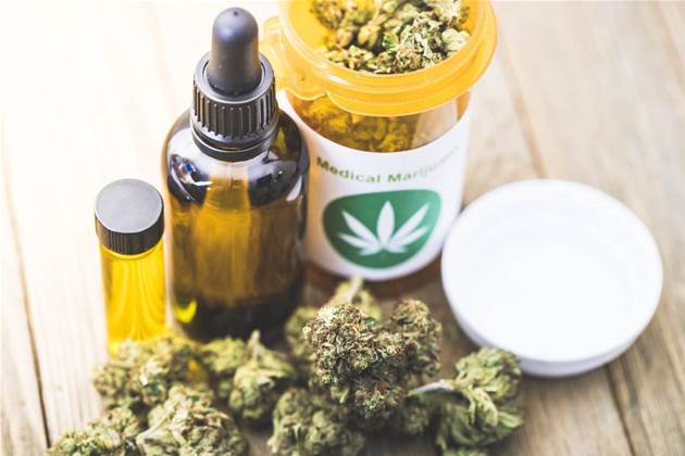 MGC Pharma taps RMIT to build 'Google of medicinal cannabis'