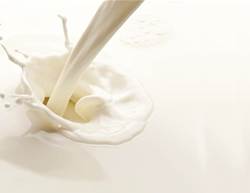 Dairy-Free? Which Alternative Is Right For You?