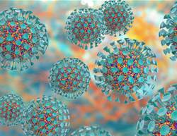 Researchers design a potential treatment for COVID-19 using the body’s immune system