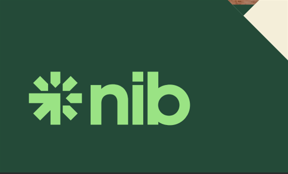 nib concludes search for permanent technology chief