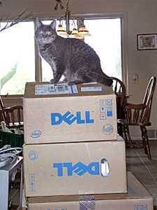Ancient update driver endangers hundreds of millions of Dell computers