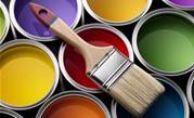 DuluxGroup steps back from single-source IT offshoring