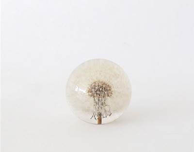 floral paperweights by garden objects