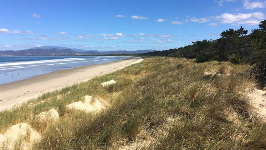 Clayton, DeVries & Pont to design Tassie beach course