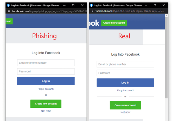 Phishers devise browser
