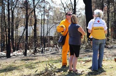 Bots hit up Australian Red Cross 900 times for bushfire donations