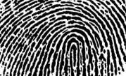 Scientists develop smartphone screen fingerprint sensor