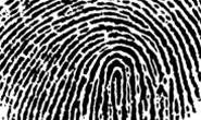 Scientists develop smartphone screen fingerprint sensor