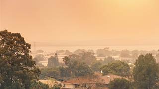 NSW Government, councils, universities launch sensor project to address air quality
