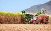 Qld cane farmers to create sugar blockchain