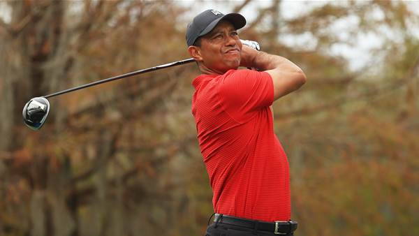 Woods expects to play Tour events again