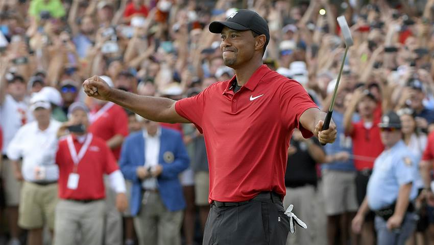 Tiger to the Hall Tiger to the Hall