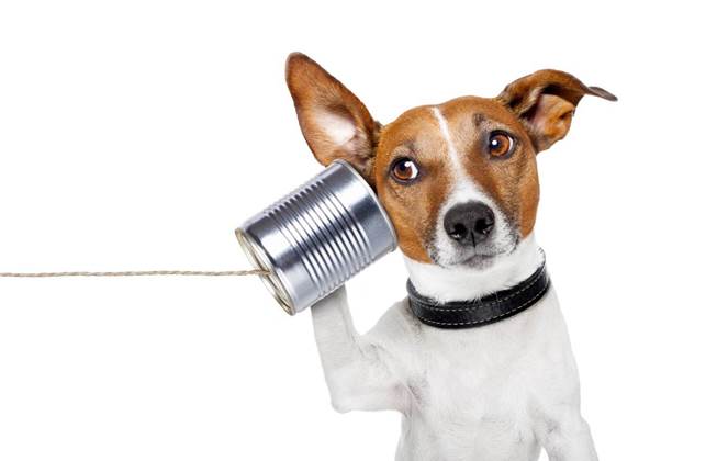 Telstra flags 3G funeral date for June 2024