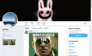 Hackers used Twitter 'malmeme' pics to control Trojan