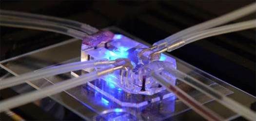 US, UK authorities hose down server supply chain hack claim