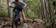 Trail and Enduro MTB Tyre Test - 24 tyres ridden and rated