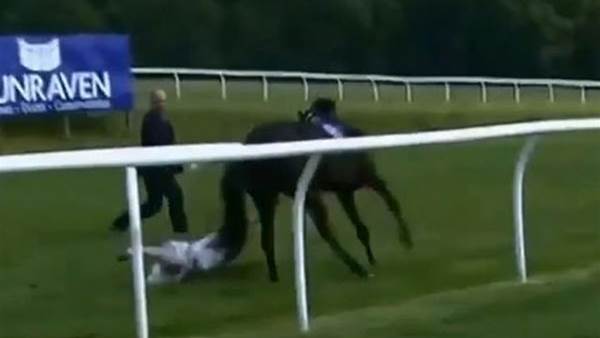 WATCH: Television presenter incredibly catches bolting horse