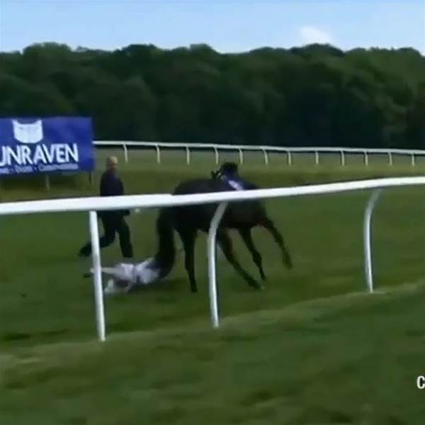 WATCH: Television presenter incredibly catches bolting horse WATCH: Television presenter incredibly catches bolting horse
