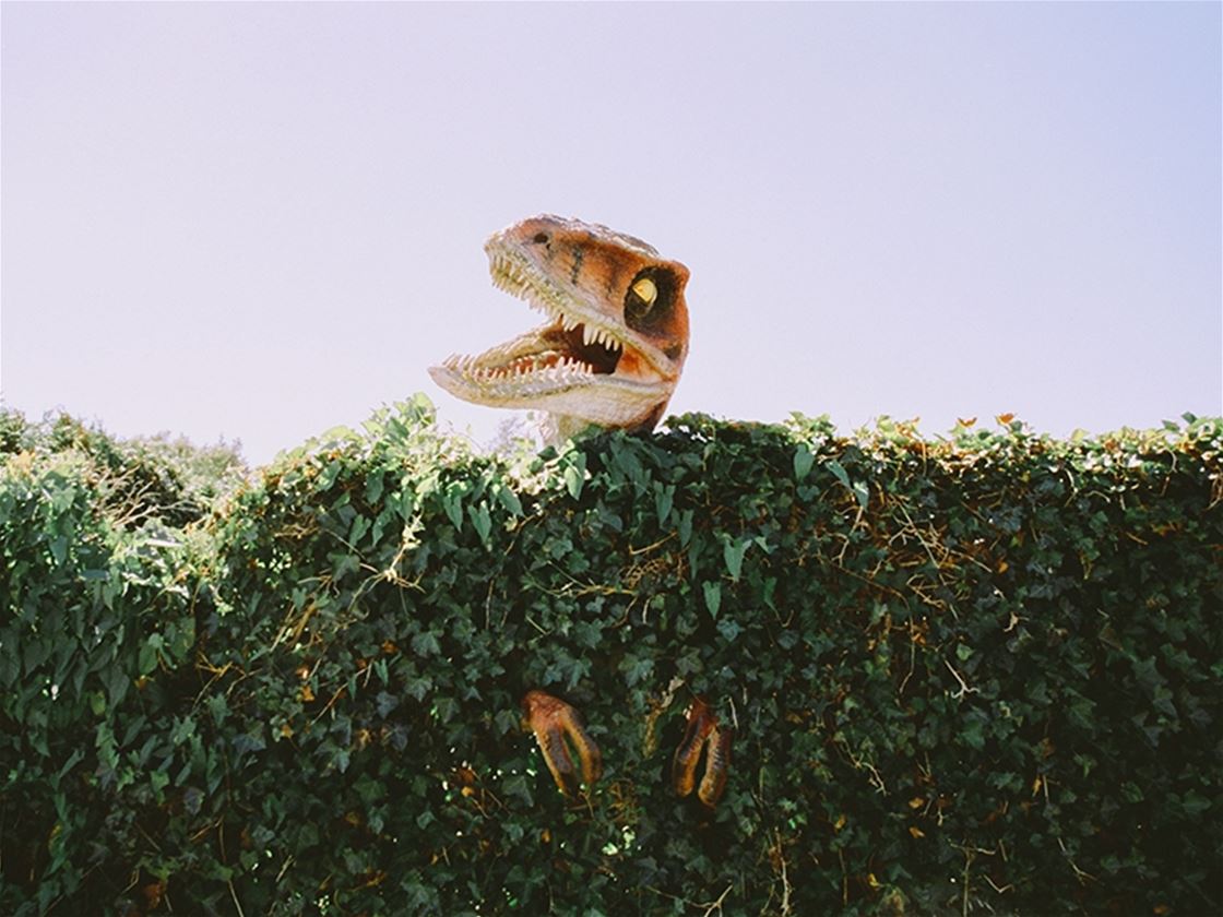 the analogue sentimentalist the analogue sentimentalist