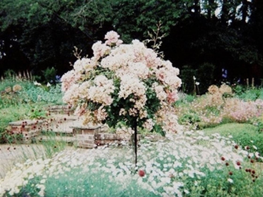 lucy wilkinson photography interview lucy wilkinson photography interview