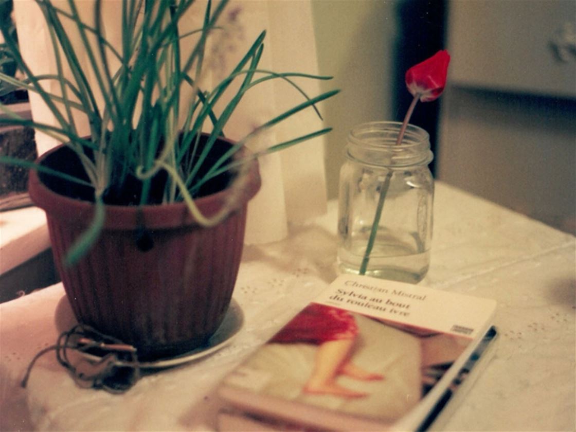 katrina cervoni photography katrina cervoni photography