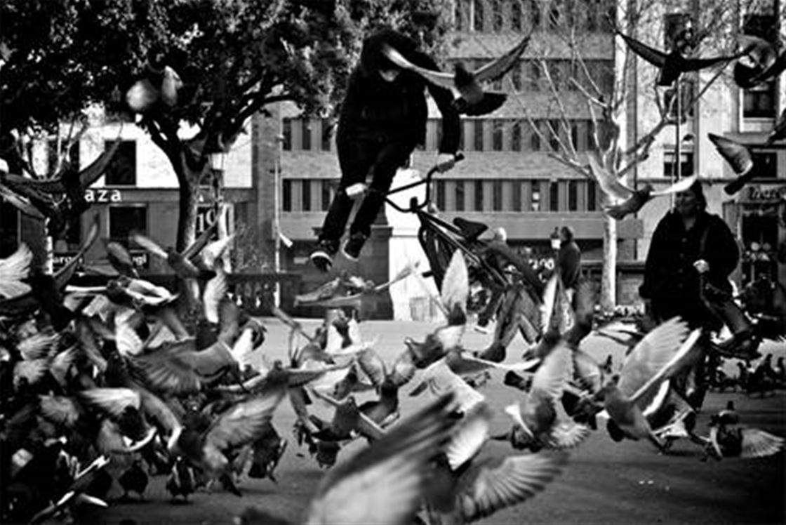 bicycle film festival bicycle film festival