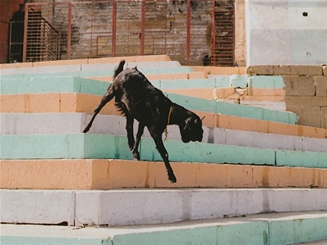 hilary sloane photography interview hilary sloane photography interview