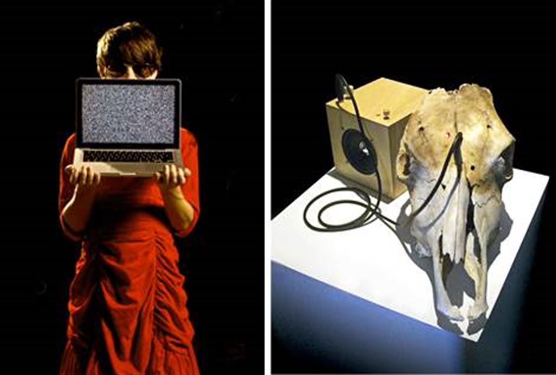 this is not art this is not art