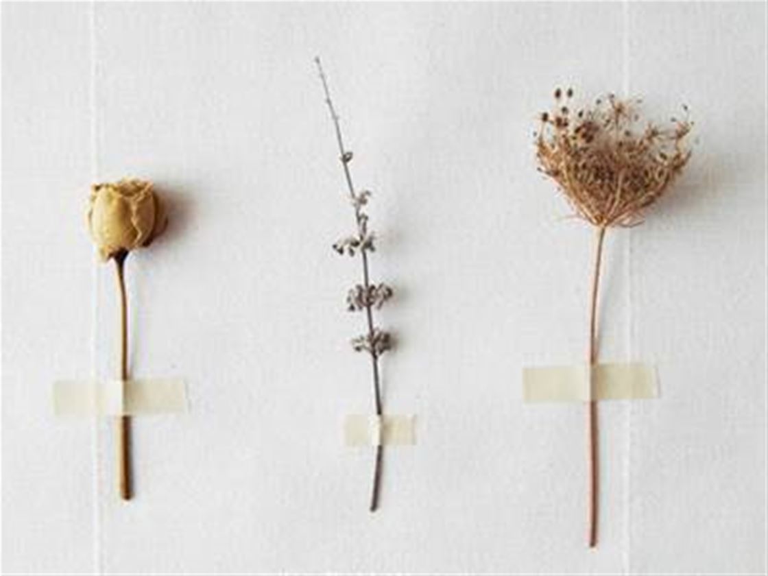 miles of light miles of light