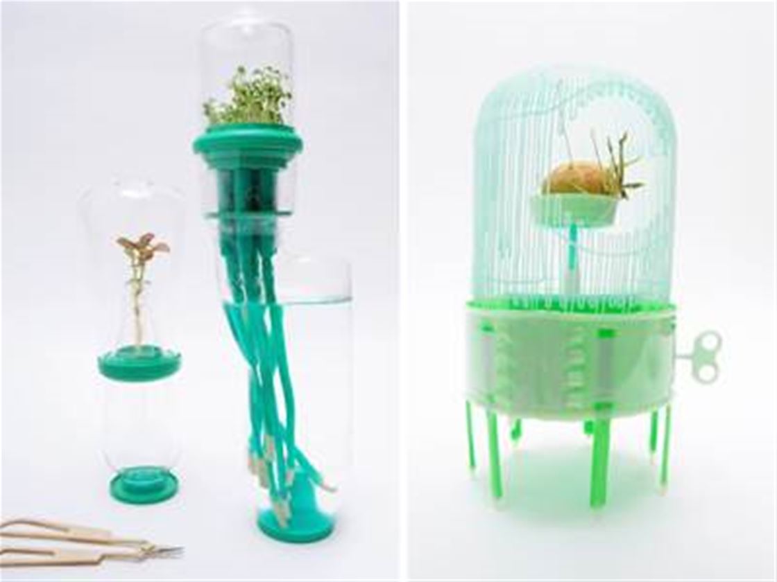 everyday growing everyday growing