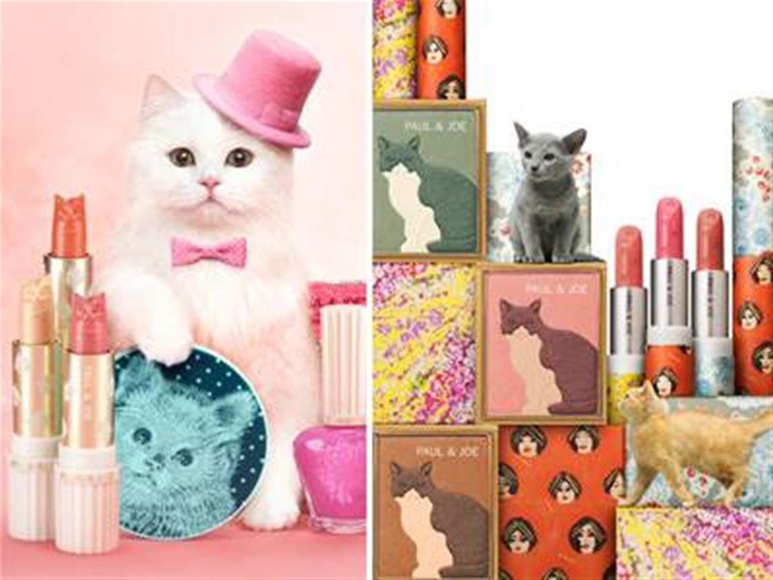 kitty lips kitty lips