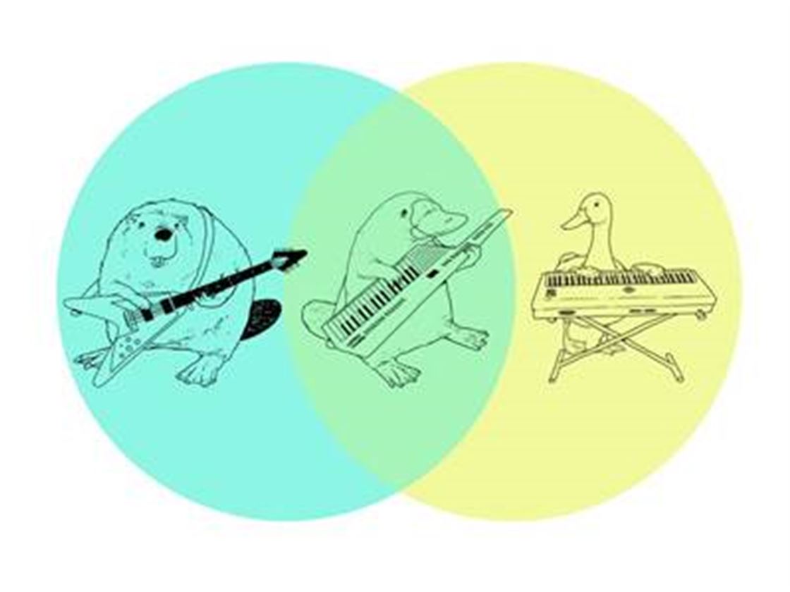 this platypus is playing a keytar this platypus is playing a keytar