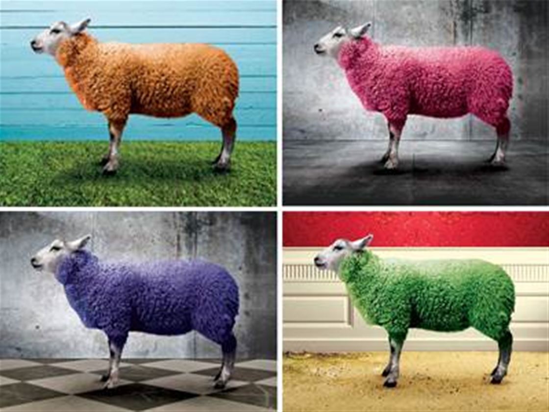 wool modern wool modern