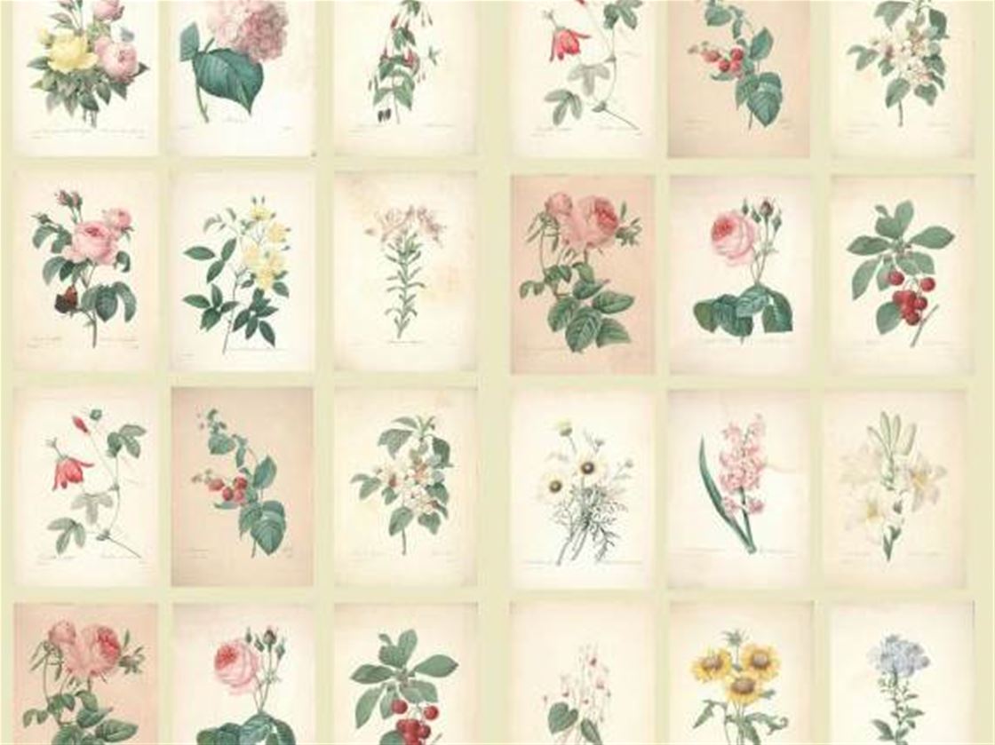 floral postcards floral postcards