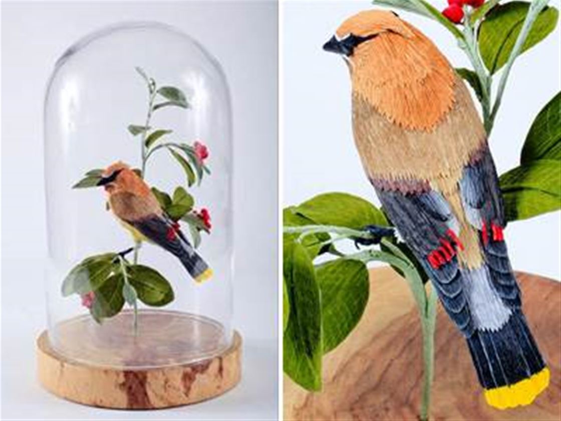 vegan taxidermy vegan taxidermy