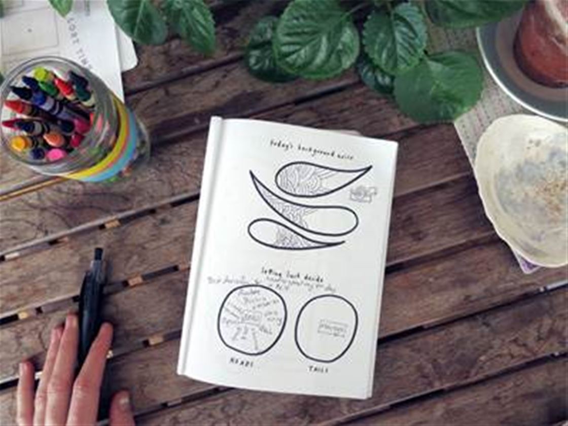 the scribble diary the scribble diary