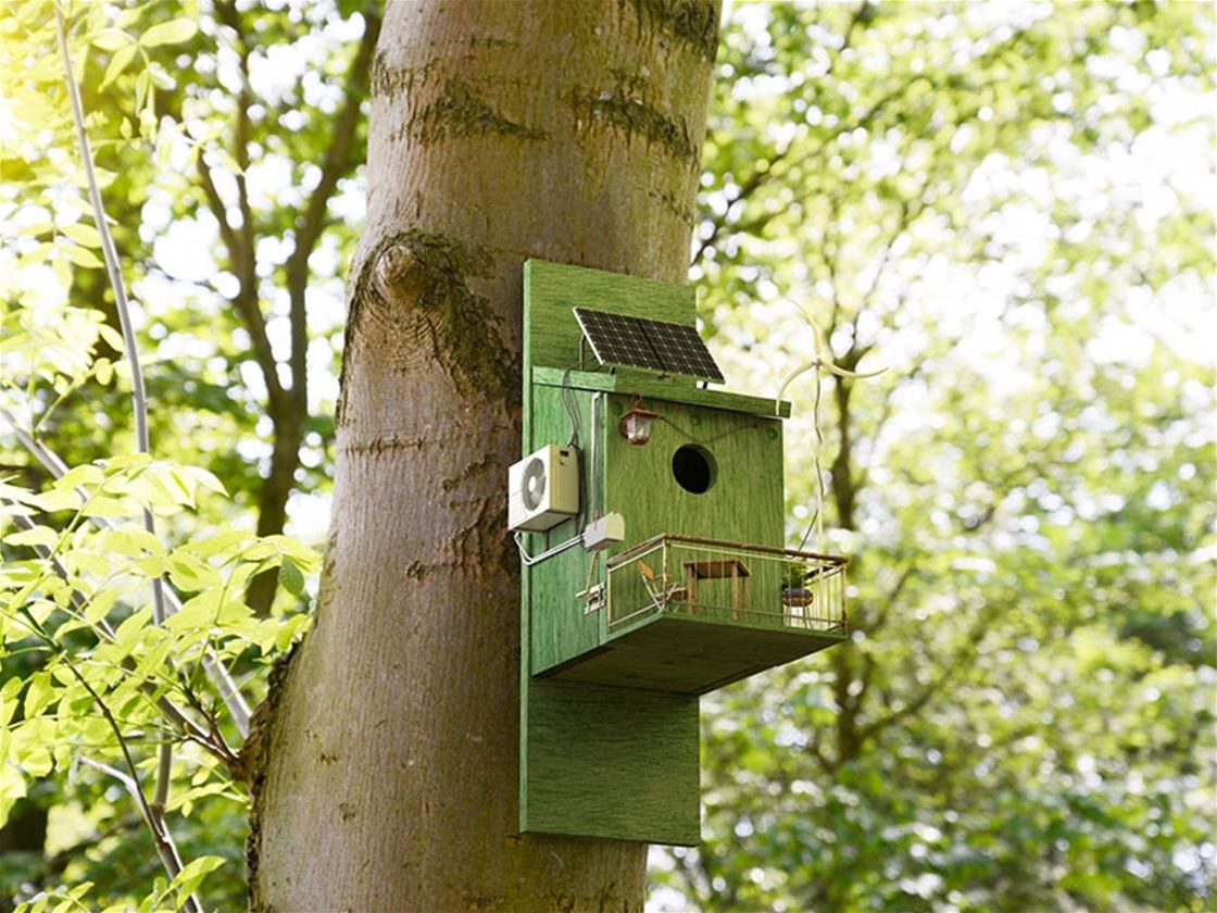 how to be a sustainable renter how to be a sustainable renter