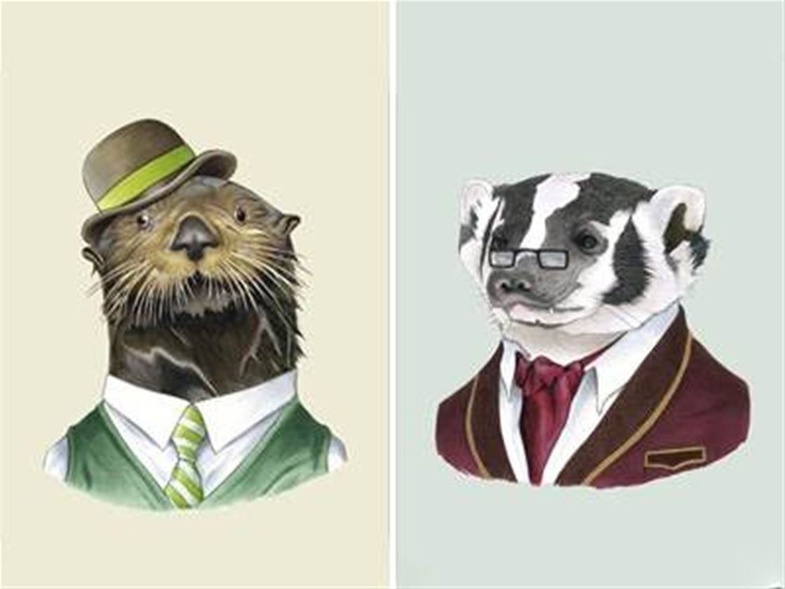 berkley dapper animal illustrations berkley dapper animal illustrations