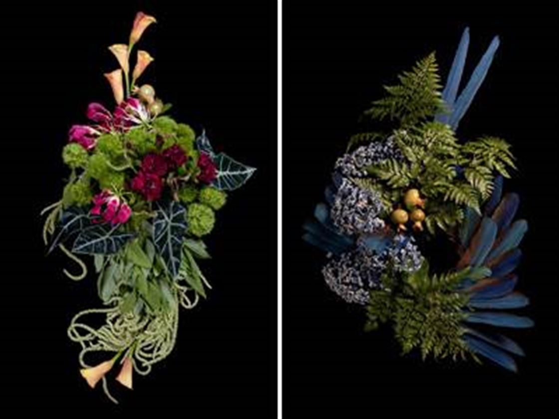 throwback thursday - carine thevenau's photography throwback thursday - carine thevenau's photography