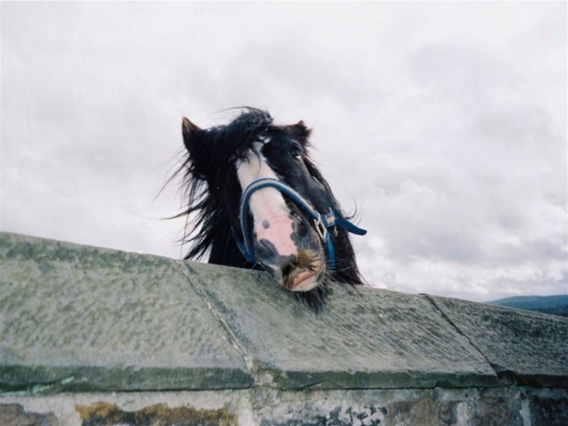 lauren ray photography interview lauren ray photography interview