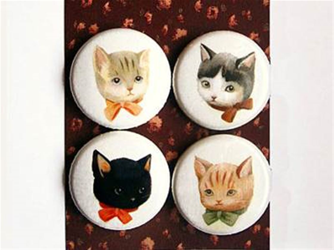 kitten pals pin set kitten pals pin set