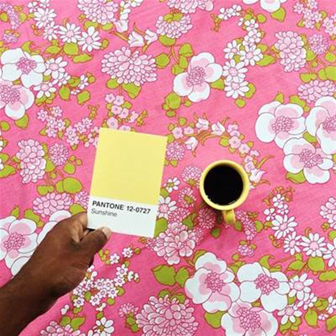 the pantone project the pantone project