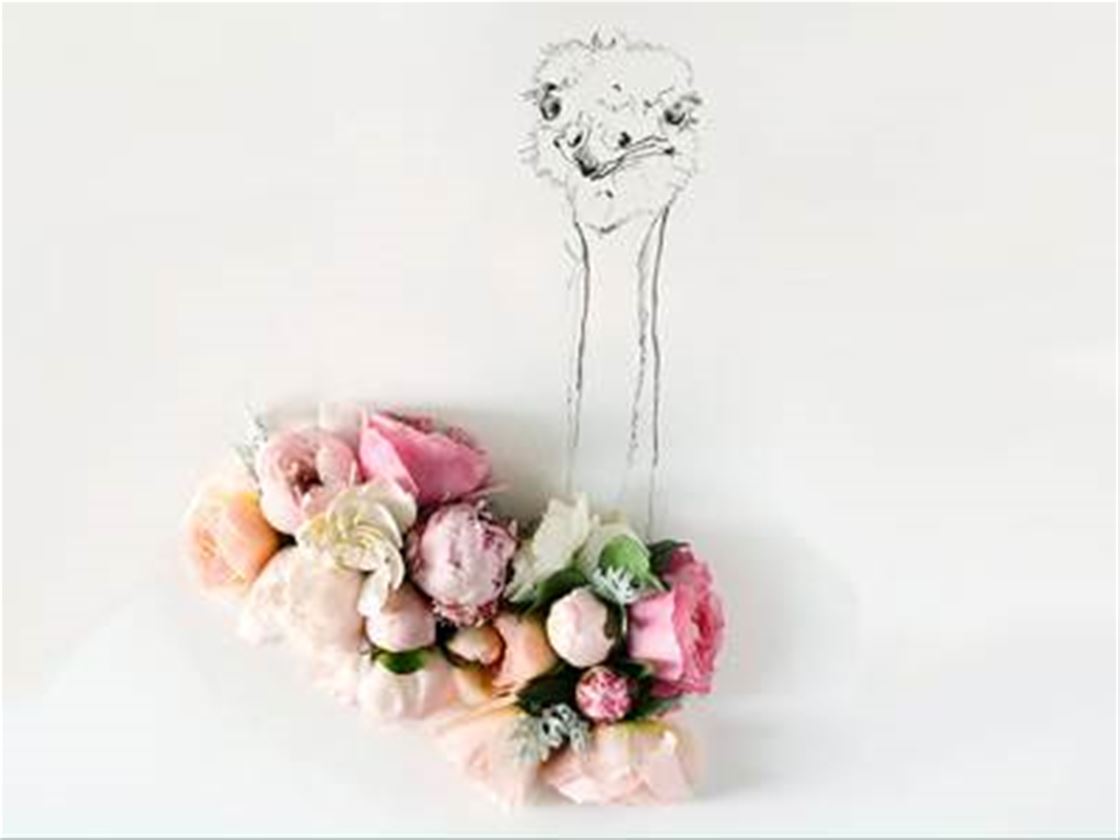 kari herer flower photography kari herer flower photography